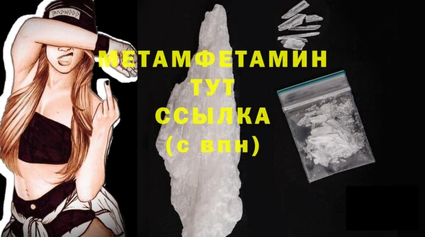 прущие грибы Михайлов