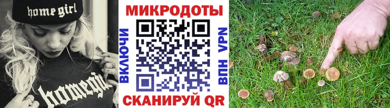 Псилоцибиновые грибы мухоморы  KRAKEN ТОР  Кизилюрт  наркошоп 