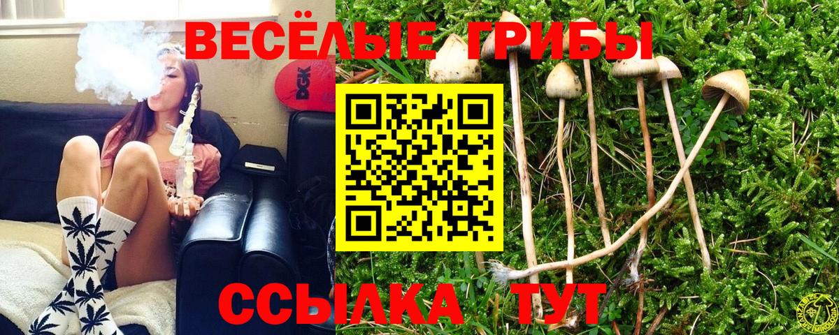 Псилоцибиновые грибы ЛСД Кизилюрт